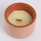 Свеча из соевого воска в кашпо "Горшочек", 6,5х6 см, бежевый - фото 9850871