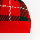 Набор новогодний: боди, штукианишки и шапочка Крошка Я «Клетка», рост 74-80 см 9150145