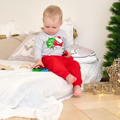 Костюм детский (джемпер, брюки) «Крошка Я. Мой первый НГ», рост 74-80 см, красный, серый