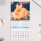 Календарь перекидной на скрепке "Символ Года - 2" 2023 год, 28,5х28,5 см - Фото 2