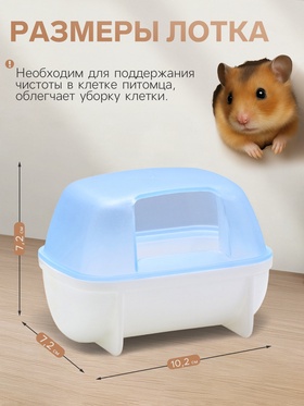 Туалет для грызунов «Пижон», 10.2×7.2×7.2 см, синий