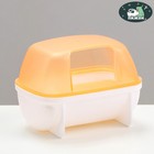 Туалет для грызунов «Пижон», 10.2×7.2×7.2 см, жёлтый - Фото 1