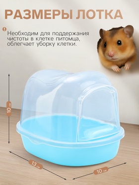 Туалет для грызунов фигурный «Пижон», 13×10×10 см, синий
