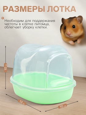 Туалет для грызунов фигурный «Пижон», 13×10×10 см, зелёный