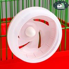 Колесо для грызунов, 11 см, тихое, пластик, розовое - Фото 1