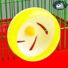 Колесо для грызунов тихое, 11 см, жёлтое - Фото 1