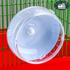 Колесо для грызунов, 14 см, тихое, синее - Фото 1