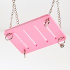 Качель для грызунов "Пижон" на цепочках, 9 х 7 х 0,5 см, пластик, розовая - Фото 5