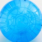 Шар для грызунов "Пижон", 14,5 см, синий - фото 6696773