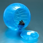 Шар для грызунов "Пижон", 14,5 см, синий - Фото 3