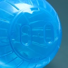 Шар для грызунов "Пижон", 14,5 см, синий - Фото 4