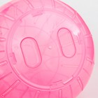 Шар для грызунов "Пижон", 14,5 см, розовый - фото 6696779