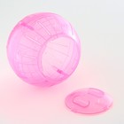 Шар для грызунов "Пижон", 14,5 см, розовый - Фото 5