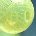 Шар для грызунов "Пижон", 14,5 см, жёлтый - Фото 4