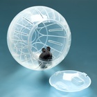 Шар для грызунов «Пижон», 14.5 см, прозрачный - Фото 3