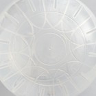 Шар для грызунов "Пижон", 14,5 см, прозрачный - Фото 4