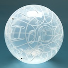 Шар для грызунов «Пижон», 14.5 см, прозрачный - Фото 6