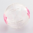 Шар для грызунов Carno, 18,5 см, розовый - Фото 2