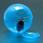 Шар для грызунов «Пижон», 12 см, синий - Фото 4