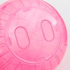 Шар для грызунов "Пижон", 12 см, розовый - фото 6696807