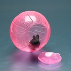 Шар для грызунов «Пижон», 12 см, розовый - Фото 4