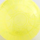 Шар для грызунов "Пижон", 12 см, жёлтый - фото 6696814