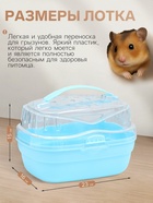 Переноска для грызунов "Пижон", 23 х 16 х 15 см, синяя - Фото 2