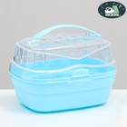 Переноска для грызунов "Пижон", 23 х 16 х 15 см, синяя - Фото 3