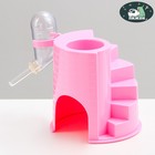 Домик для грызунов "Лесенка" с поилкой 12 х 12 см, розовый - фото 319055293