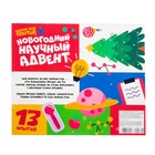 Адвент - календарь новогодний, детский, 13 окошек с подарками: 13 опытов - Фото 16