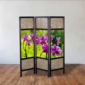

Ширма "Орхидея розовая", 150 × 160 см