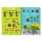 Книга со скретч-слоем «Навстречу приключениям с Машей!», А5, 12 стр., Маша и Медведь - Фото 2