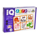 Развивающая игра IQ-лото «Мамы и малыши» - фото 3589009