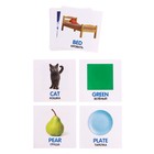 Полезный чемоданчик «Английские слова», пластиковые фишки, карточки - фото 25574117