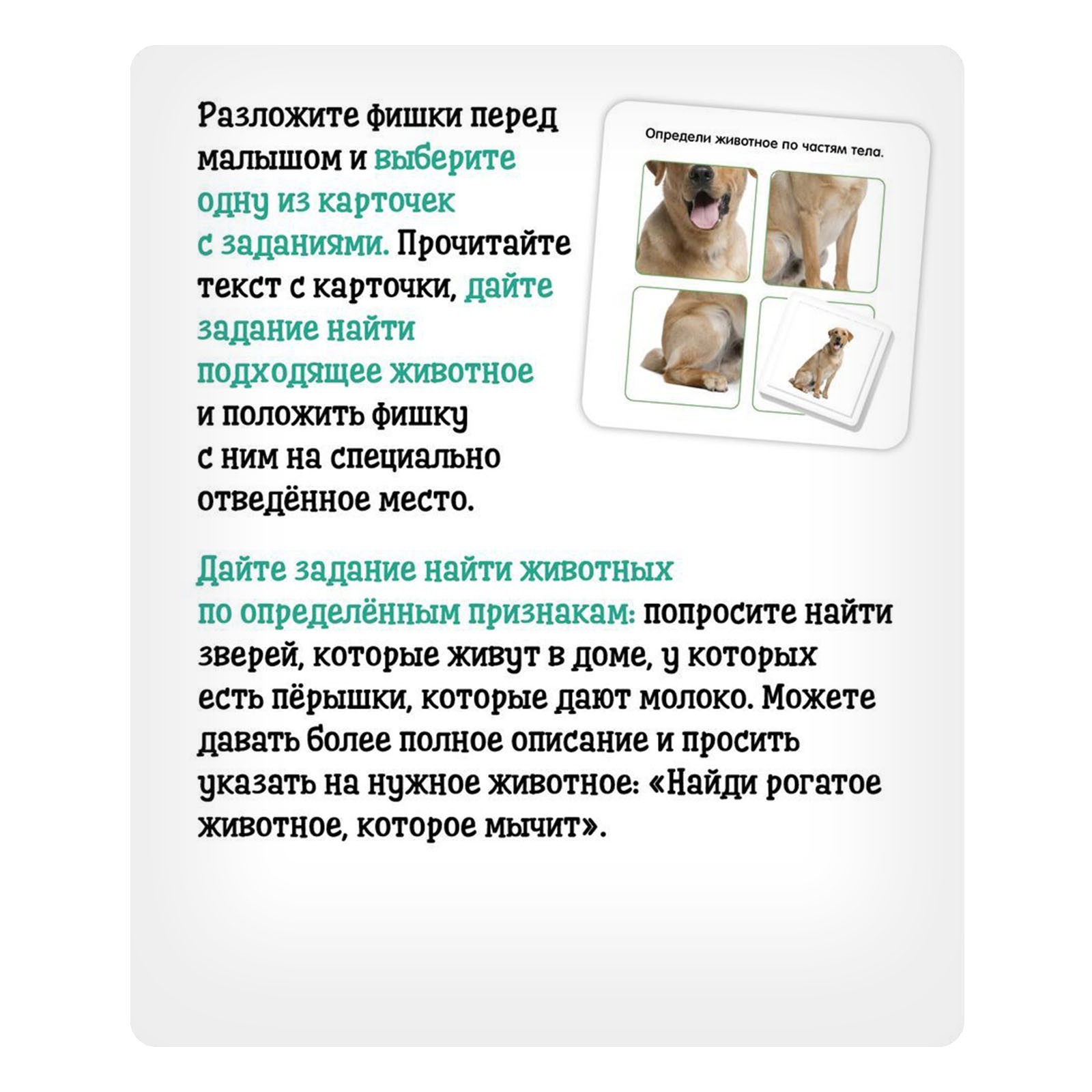 Полезный чемоданчик «Домашние животные», по методике Домана, пластиковые  фишки (7769461) - Купить по цене от 129.00 руб. | Интернет магазин  SIMA-LAND.RU