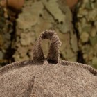 Шапка для бани из овчины "Войлочная" скорняжный шов, покрытая войлоком - Фото 5