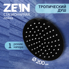 Лейка стационарная ZEIN Z2354, круглая, d=20 см, 1 режим, нержавеющая сталь, черная - Фото 1