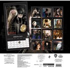 Календарь настенный «Гарри Поттер и Принц-полукровка»  2023 год, 30x30 см - Фото 2