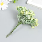 Декор для творчества "Соцветие - Пилея стелющаяся" 1 букет= 6 веточек зелёный 10 см 7862248