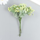 Декор для творчества "Соцветие - Пилея стелющаяся" 1 букет= 6 веточек зелёный 10 см 7862248