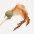 Дразнилка с шариком из кошачьей мяты и перьями, 52 см - Фото 2