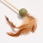 Дразнилка с шариком из кошачьей мяты и перьями, 52 см - Фото 3