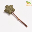 Игрушка для кошек из кошачьей мяты «Звезда» на палочке из мататаби, 13.5 см - Фото 2