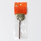 Игрушка для кошек из кошачьей мяты "Мишка" на палочке из мататаби - Фото 4