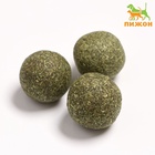 Набор шаров для кошек из кошачьей мяты, 3 см - Фото 2