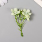 Цветы для декорирования "Веточка яблони" бело-зелёные 8 см - фото 320898762