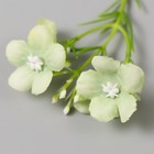 Цветы для декорирования "Веточка яблони" бело-зелёные 8 см - фото 24383378