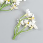 Цветы для декорирования "Ромашки в связке"  цветок d-2 см белые 7 см - Фото 2