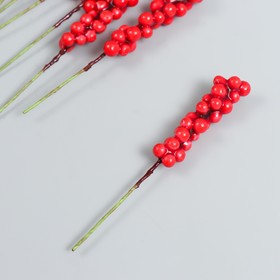 Декор для творчества "Веточка с ягодами" красный набор 10 шт 1х1х9 см