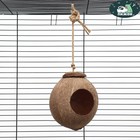Гнездо для птиц из кокоса, d - 6 x 11 см - фото 319056807